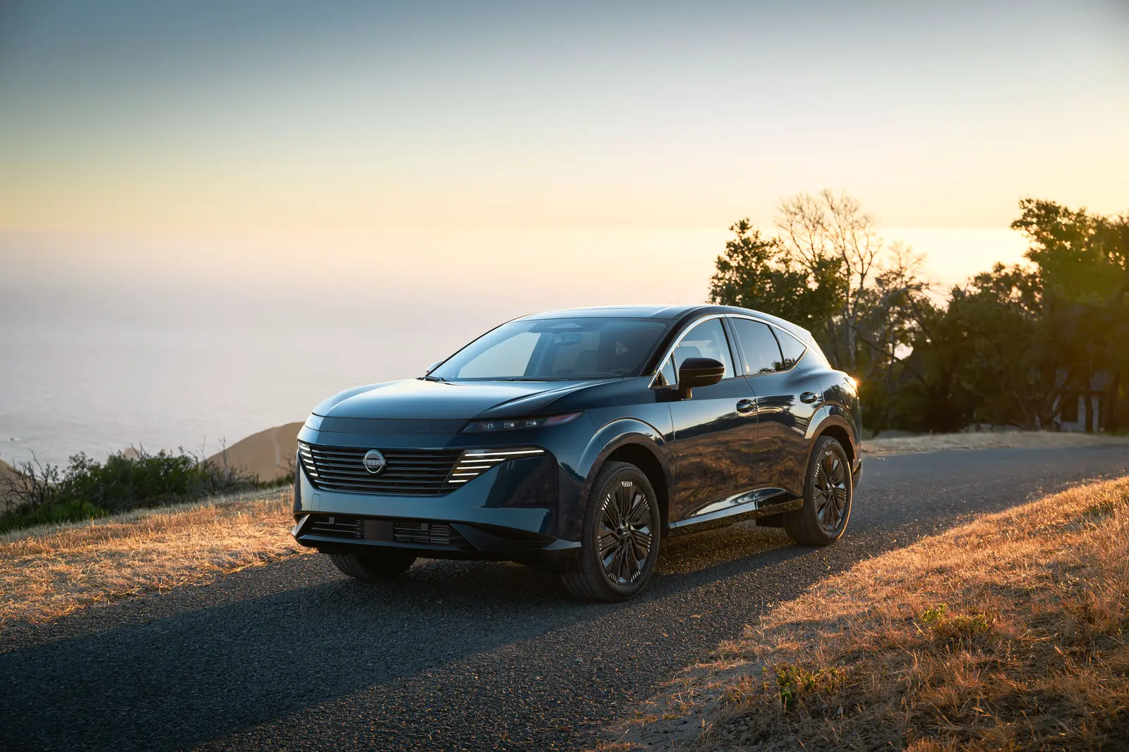 Nissan Murano 2025 PLATINUM Exterior